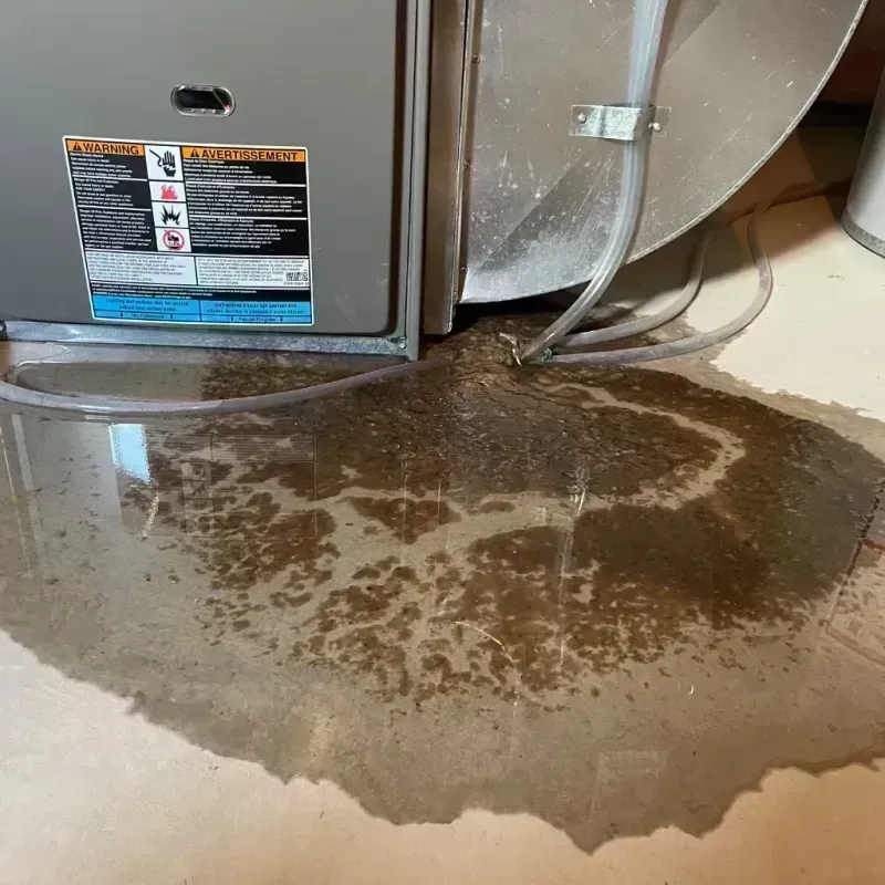 Appliance Leak Cleanup in Montour County, PA